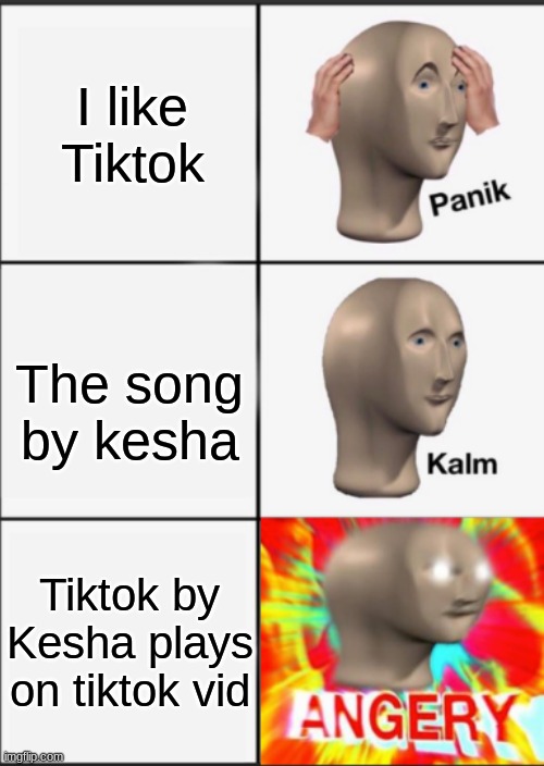 Panik Kalm Angery | I like Tiktok; The song by kesha; Tiktok by Kesha plays on tiktok vid | image tagged in panik kalm angery | made w/ Imgflip meme maker
