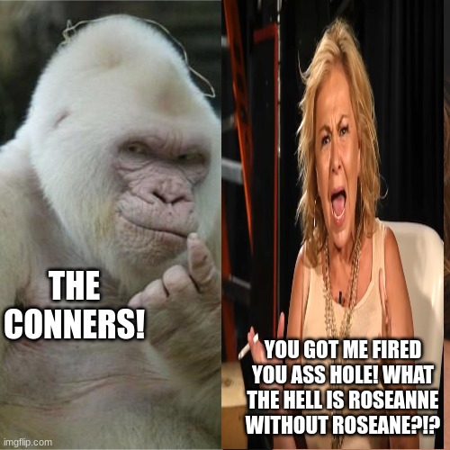 roseanne | THE CONNERS! YOU GOT ME FIRED YOU ASS HOLE! WHAT THE HELL IS ROSEANNE WITHOUT ROSEANE?!? | image tagged in roseanne the ape | made w/ Imgflip meme maker