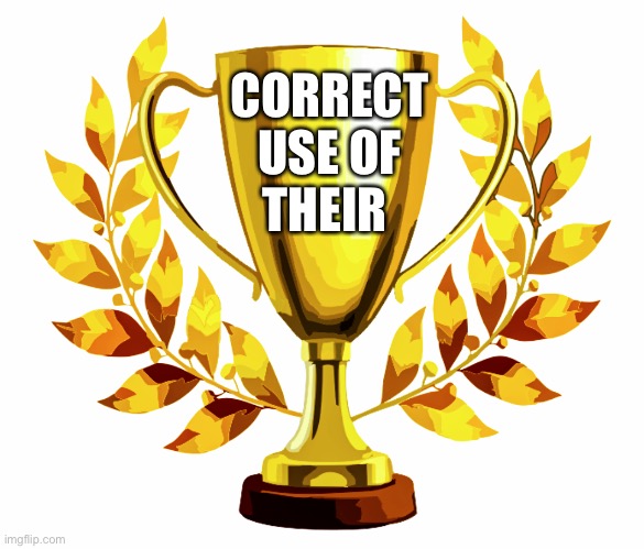 You Win! | CORRECT USE OF THEIR | image tagged in you win | made w/ Imgflip meme maker