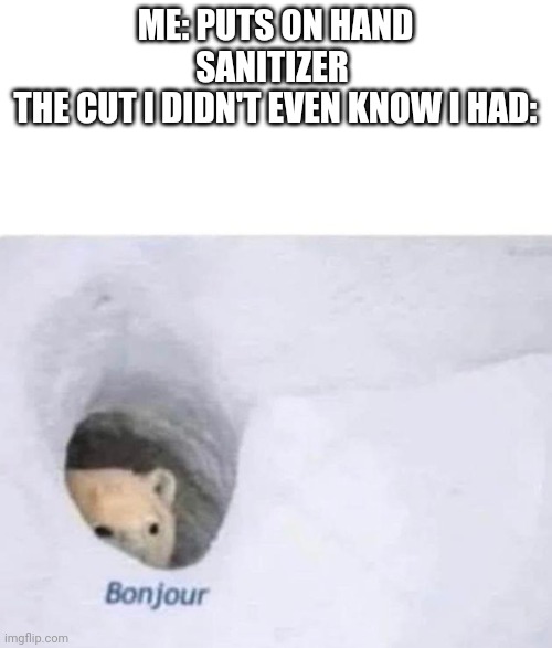 This happens all the time | ME: PUTS ON HAND SANITIZER 
THE CUT I DIDN'T EVEN KNOW I HAD: | image tagged in bonjour,polar bear | made w/ Imgflip meme maker