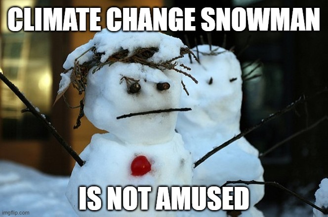 global warming is over......not... deniers are liars... | CLIMATE CHANGE SNOWMAN; IS NOT AMUSED | image tagged in crazy people,crazy pills,ignore,signs,crazy,weather | made w/ Imgflip meme maker