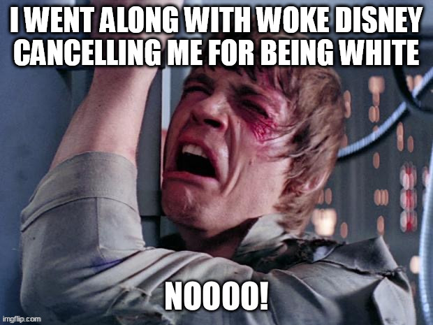 When the racists erase you. | I WENT ALONG WITH WOKE DISNEY CANCELLING ME FOR BEING WHITE | image tagged in star wars,jedi | made w/ Imgflip meme maker