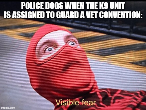 Tobey Maguire Spider-Man visible fear | POLICE DOGS WHEN THE K9 UNIT IS ASSIGNED TO GUARD A VET CONVENTION: | image tagged in tobey maguire spider-man visible fear,memes,dogs | made w/ Imgflip meme maker