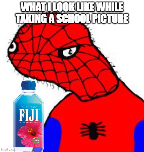 Spooderman | WHAT I LOOK LIKE WHILE TAKING A SCHOOL PICTURE | image tagged in spooderman | made w/ Imgflip meme maker