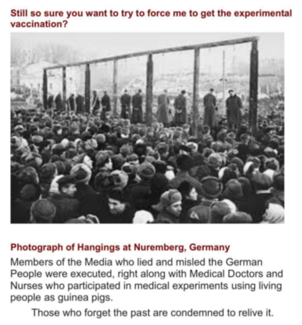 Still so sure you want to try to force me to get the experimental vaccination? | image tagged in nuremberg code,nuremberg trials,nuremberg hangings,hanging out,hanging,hang in there | made w/ Imgflip meme maker