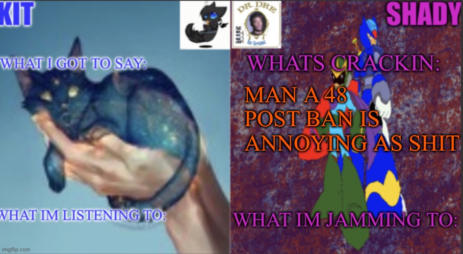 Kitnshady | MAN A 48 POST BAN IS ANNOYING AS SHIT | image tagged in kitnshady | made w/ Imgflip meme maker