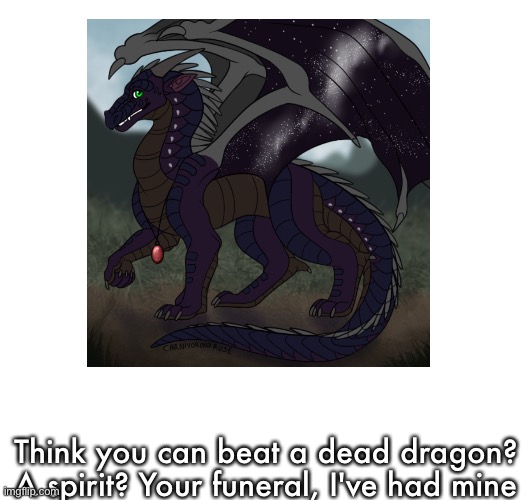 Think you can beat a dead dragon? A spirit? Your funeral, I've had mine | made w/ Imgflip meme maker