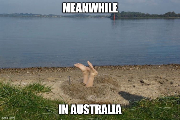 Meanwhile | MEANWHILE; IN AUSTRALIA | image tagged in meanwhile in australia,down under | made w/ Imgflip meme maker