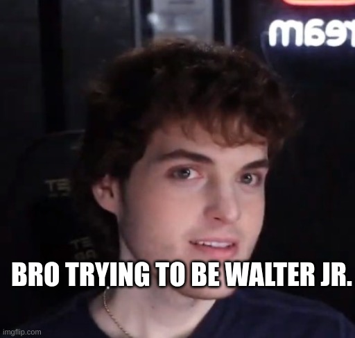 Dream face reveal | BRO TRYING TO BE WALTER JR. | image tagged in dream face reveal | made w/ Imgflip meme maker