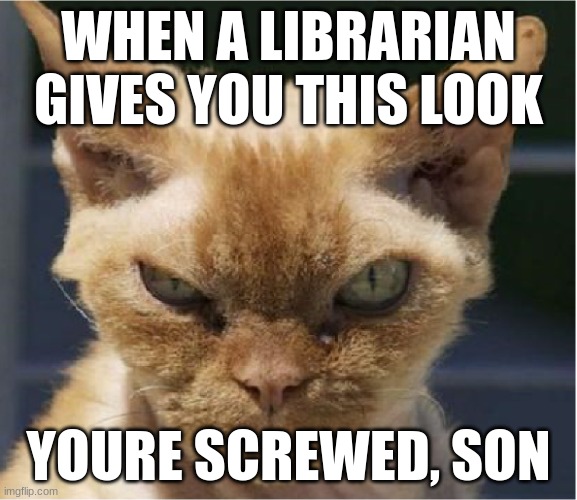 Stink Eye Intensifies | WHEN A LIBRARIAN GIVES YOU THIS LOOK; YOURE SCREWED, SON | image tagged in stink eye intensifies | made w/ Imgflip meme maker