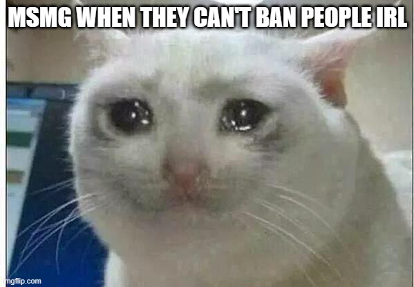 I'm banned from msmg (inset giga chad here) | MSMG WHEN THEY CAN'T BAN PEOPLE IRL | image tagged in crying cat | made w/ Imgflip meme maker