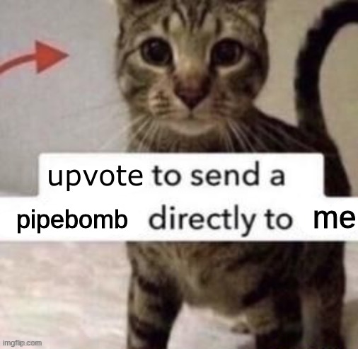 me; pipebomb | made w/ Imgflip meme maker