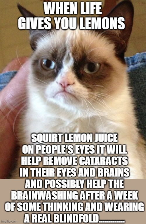 Stolen meme with my own emphasis... | WHEN LIFE GIVES YOU LEMONS; SQUIRT LEMON JUICE ON PEOPLE'S EYES IT WILL HELP REMOVE CATARACTS IN THEIR EYES AND BRAINS AND POSSIBLY HELP THE BRAINWASHING AFTER A WEEK OF SOME THINKING AND WEARING A REAL BLINDFOLD............. | image tagged in memes,grumpy cat | made w/ Imgflip meme maker