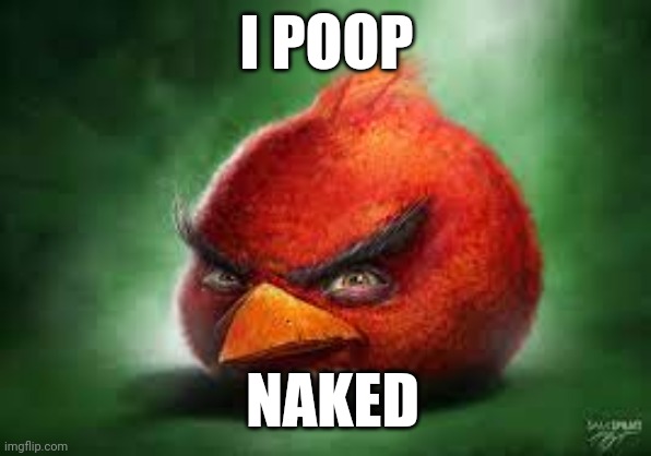 Realistic Red Angry Birds | I POOP; NAKED | image tagged in realistic red angry birds | made w/ Imgflip meme maker