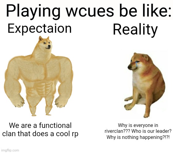 I love it but it's chaos | Playing wcues be like:; Expectaion; Reality; We are a functional clan that does a cool rp; Why is everyone in riverclan??? Who is our leader? Why is nothing happening?!?! | image tagged in memes,buff doge vs cheems | made w/ Imgflip meme maker