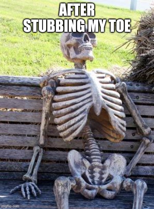 Waiting Skeleton Meme | AFTER STUBBING MY TOE | image tagged in memes,waiting skeleton | made w/ Imgflip meme maker