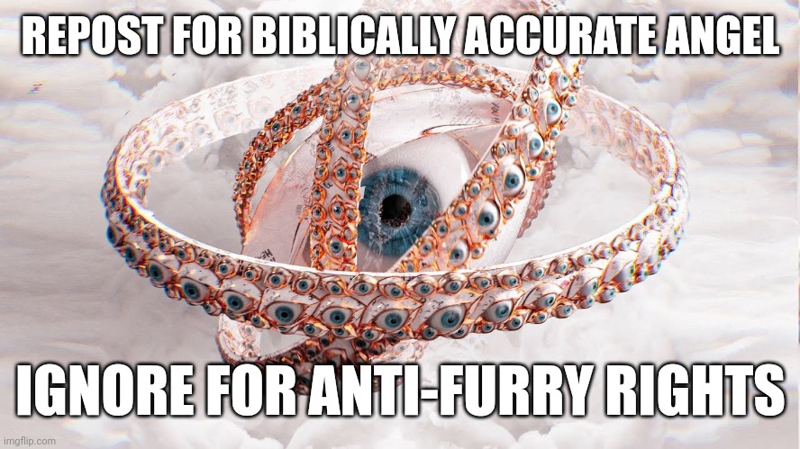 REPOST FOR BIBLICALLY ACCURATE ANGEL; IGNORE FOR ANTI-FURRY RIGHTS | image tagged in biblically accurate angel | made w/ Imgflip meme maker