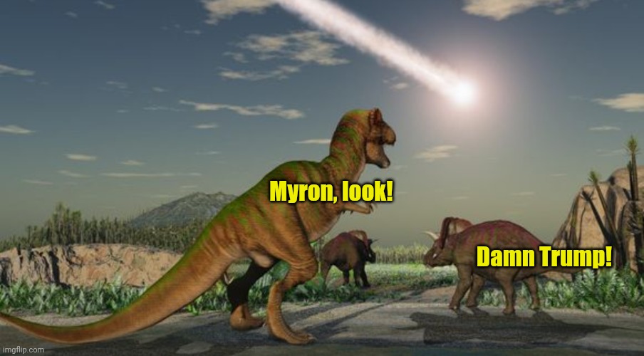 Dinosaurs meteor | Damn Trump! Myron, look! | image tagged in dinosaurs meteor | made w/ Imgflip meme maker