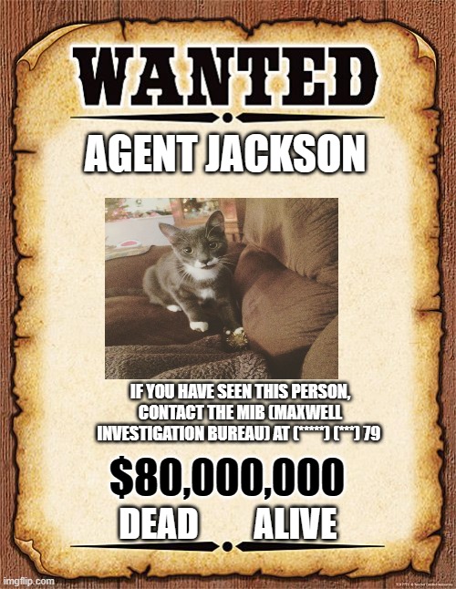 have you seen this man? Hes probably giving out our plans to the corrupt meme gov- maxwell | AGENT JACKSON; IF YOU HAVE SEEN THIS PERSON, CONTACT THE MIB (MAXWELL INVESTIGATION BUREAU) AT (*****) (***) 79; $80,000,000; DEAD        ALIVE | image tagged in wanted poster | made w/ Imgflip meme maker