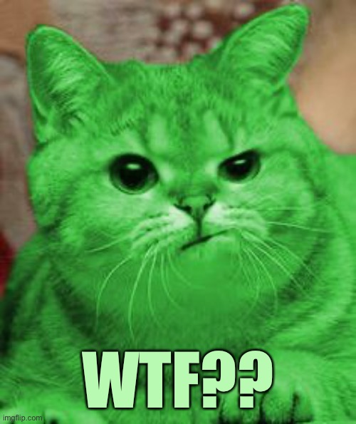 RayCat Annoyed | WTF?? | image tagged in raycat annoyed | made w/ Imgflip meme maker