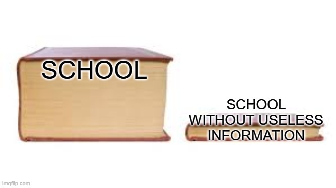 Big book small book | SCHOOL; SCHOOL WITHOUT USELESS INFORMATION | image tagged in big book small book | made w/ Imgflip meme maker