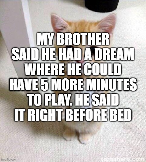 Cute Cat | MY BROTHER SAID HE HAD A DREAM WHERE HE COULD HAVE 5 MORE MINUTES TO PLAY. HE SAID IT RIGHT BEFORE BED | image tagged in memes,cute cat | made w/ Imgflip meme maker