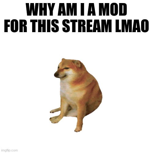 ????? | WHY AM I A MOD FOR THIS STREAM LMAO | made w/ Imgflip meme maker