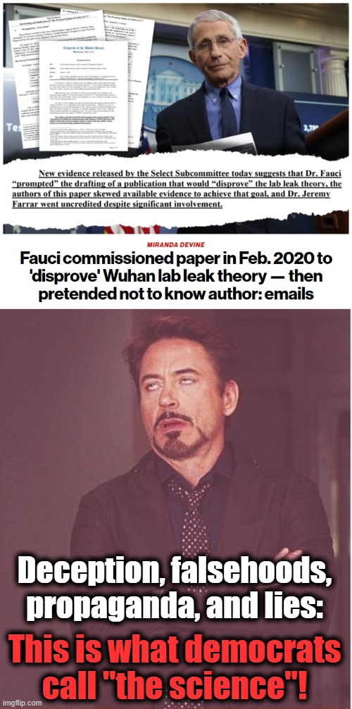 It was all lies, all the time.  Just like now. | Deception, falsehoods, propaganda, and lies:; This is what democrats call "the science"! | image tagged in memes,face you make robert downey jr,covid-19,lies,fauci,democrats | made w/ Imgflip meme maker