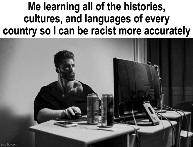 Gigachad On The Computer |  Me learning all of the histories, cultures, and languages of every country so I can be racist more accurately | image tagged in gigachad on the computer | made w/ Imgflip meme maker