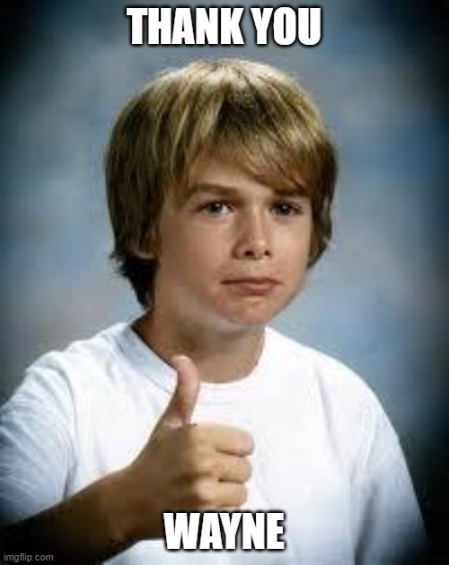 Thumbs Up Kid | THANK YOU WAYNE | image tagged in thumbs up kid | made w/ Imgflip meme maker