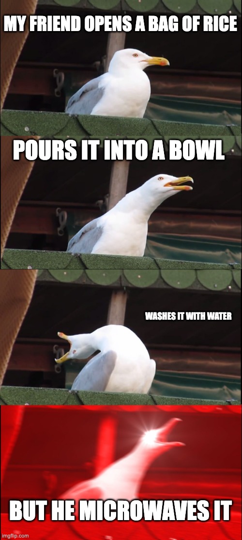 Why man, just why? | MY FRIEND OPENS A BAG OF RICE; POURS IT INTO A BOWL; WASHES IT WITH WATER; BUT HE MICROWAVES IT | image tagged in memes,inhaling seagull,rice,fun,funny memes,funny | made w/ Imgflip meme maker