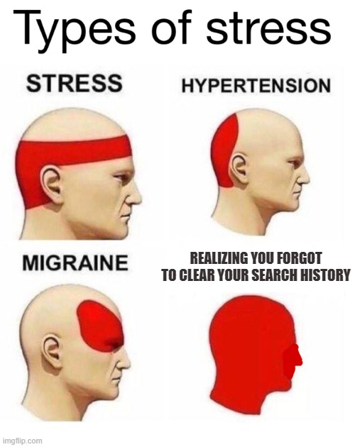 oh no | REALIZING YOU FORGOT TO CLEAR YOUR SEARCH HISTORY | image tagged in types of stress,search history,funny,memes | made w/ Imgflip meme maker
