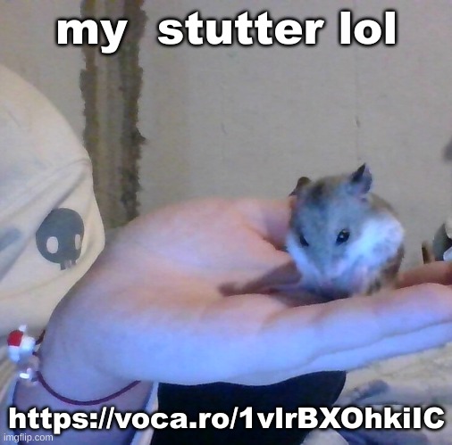 https://voca.ro/1vlrBXOhkiIC | my  stutter lol; https://voca.ro/1vlrBXOhkiIC | image tagged in hampter | made w/ Imgflip meme maker