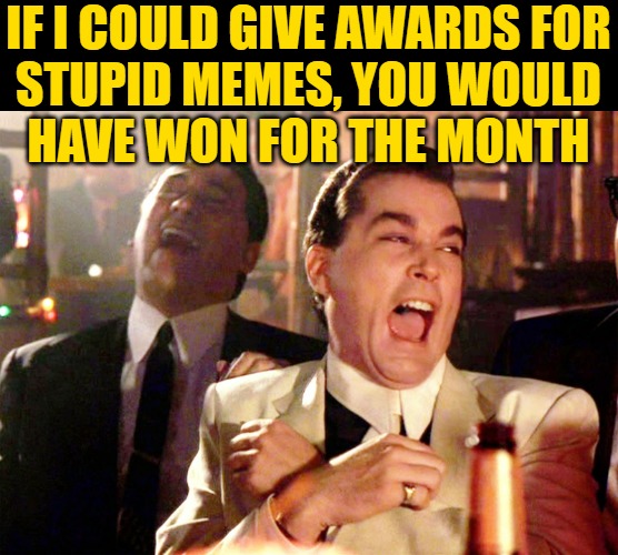 Good Fellas Hilarious Meme | IF I COULD GIVE AWARDS FOR
STUPID MEMES, YOU WOULD
HAVE WON FOR THE MONTH | image tagged in memes,good fellas hilarious | made w/ Imgflip meme maker
