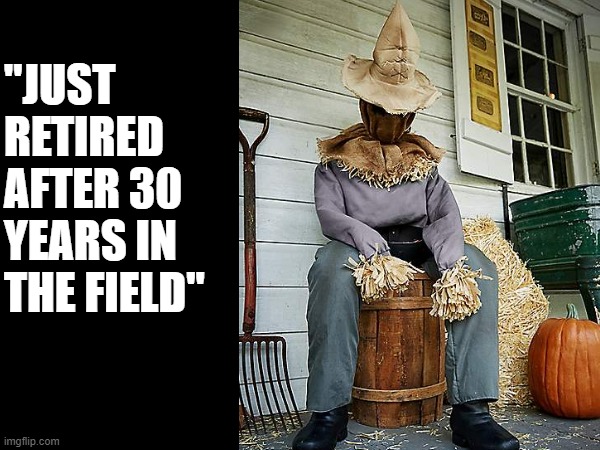 Scarecrow | "JUST RETIRED AFTER 30 YEARS IN THE FIELD" | image tagged in puns,funny,eyeroll,fall | made w/ Imgflip meme maker