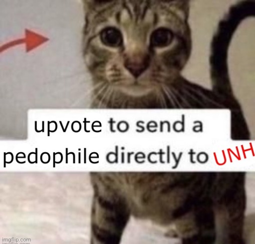 UNH = Ultramate Nightmare Hell | made w/ Imgflip meme maker