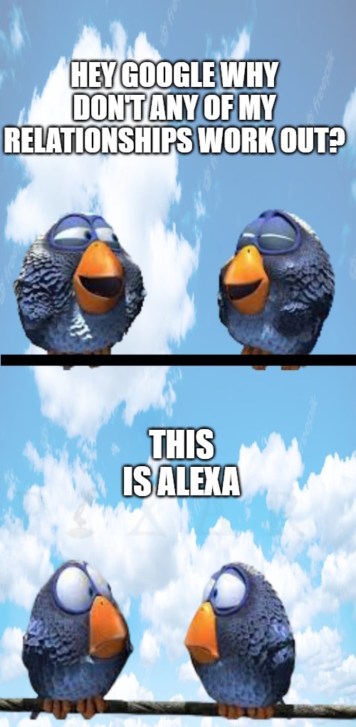 HEY GOOGLE WHY DON'T ANY OF MY RELATIONSHIPS WORK OUT? THIS IS ALEXA | image tagged in hey google | made w/ Imgflip meme maker