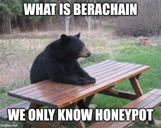 Bad Luck Bear Meme | WHAT IS BERACHAIN WE ONLY KNOW HONEYPOT | image tagged in memes,bad luck bear | made w/ Imgflip meme maker