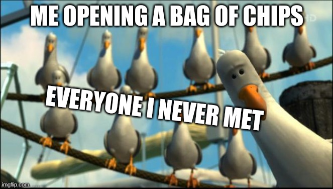 Can I have 1? | ME OPENING A BAG OF CHIPS; EVERYONE I NEVER MET | image tagged in nemo seagulls mine | made w/ Imgflip meme maker