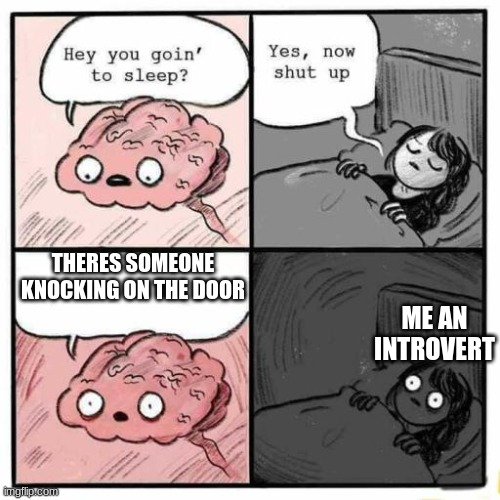 Who is it? | THERES SOMEONE KNOCKING ON THE DOOR; ME AN INTROVERT | image tagged in hey you going to sleep | made w/ Imgflip meme maker