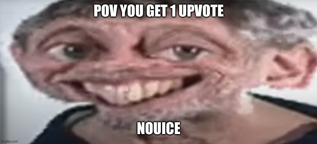 nouice | POV YOU GET 1 UPVOTE; NOUICE | image tagged in nuoice | made w/ Imgflip meme maker