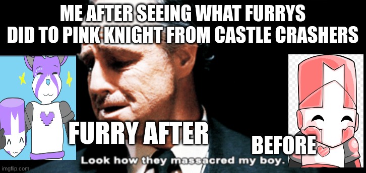 Look how they massacred my boy | ME AFTER SEEING WHAT FURRYS DID TO PINK KNIGHT FROM CASTLE CRASHERS; FURRY AFTER; BEFORE | image tagged in look how they massacred my boy | made w/ Imgflip meme maker