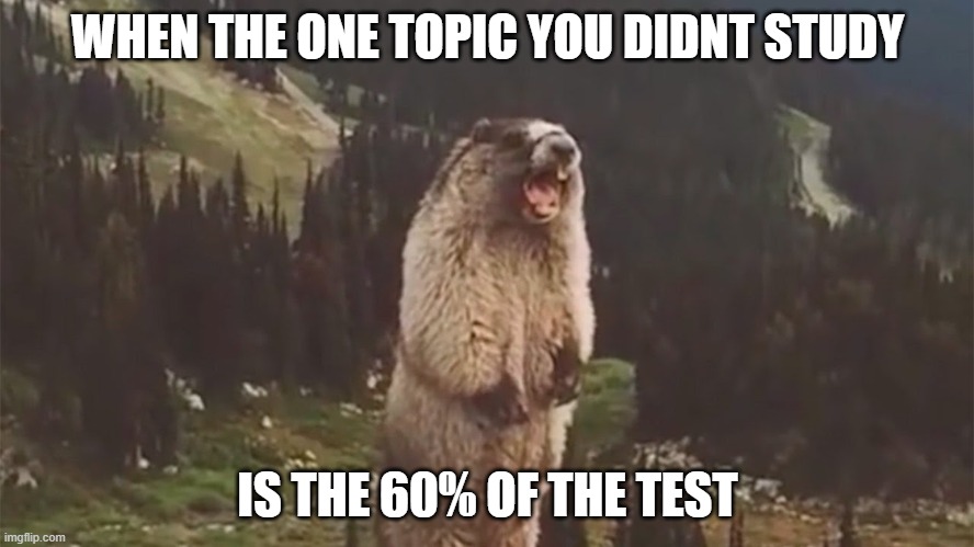 relatable | WHEN THE ONE TOPIC YOU DIDNT STUDY; IS THE 60% OF THE TEST | image tagged in screaming marmot,school | made w/ Imgflip meme maker