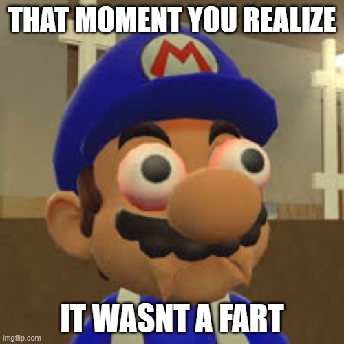 Smg4 Oh Shit | THAT MOMENT YOU REALIZE; IT WASNT A FART | image tagged in smg4 oh shit | made w/ Imgflip meme maker