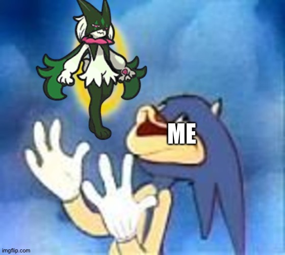 Even Sonic loves Meowscarada | ME | image tagged in pokemon,sonic | made w/ Imgflip meme maker