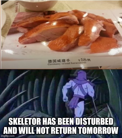 Mission accomplished | SKELETOR HAS BEEN DISTURBED AND WILL NOT RETURN TOMORROW | image tagged in skeletor disturbing facts,funny,chinese food | made w/ Imgflip meme maker
