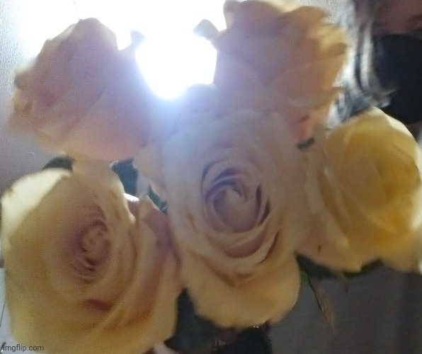 smell the m | made w/ Imgflip meme maker