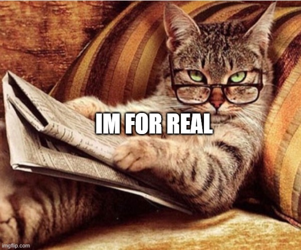Are you for real cat | IM FOR REAL | image tagged in are you for real cat | made w/ Imgflip meme maker