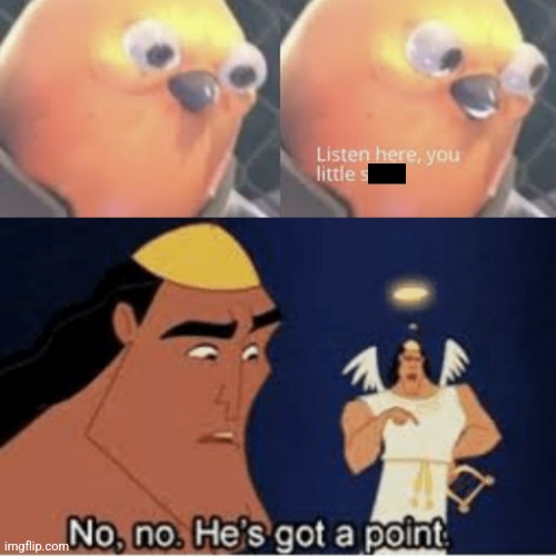 image tagged in listen here you little shit bird,no no he's got a point | made w/ Imgflip meme maker