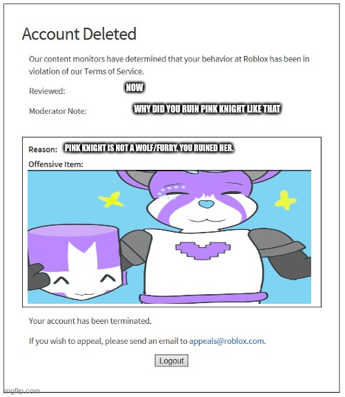 ngl best moderator ever | NOW; WHY DID YOU RUIN PINK KNIGHT LIKE THAT; PINK KNIGHT IS NOT A WOLF/FURRY. YOU RUINED HER. | image tagged in banned from roblox | made w/ Imgflip meme maker